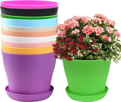 Produktbild von 10 Stück bunte Kunststoff-Blumentöpfe für kleine Kaktuspflanzen - 10cm