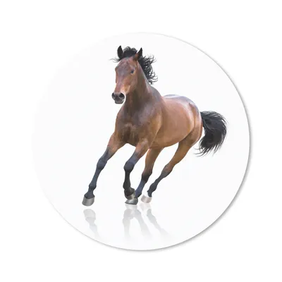 Produktbild von MuchoWow® Mauspad Mousepad Pferd - Braun - Weiß 30x30 cm - Mousepads - Maus Mat - Pad - Mausunterlage - Tischunterlage - Schreibtischmatten