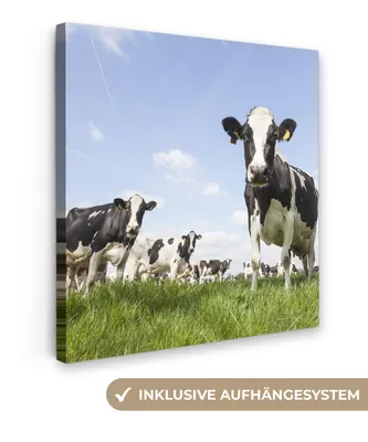 Produktbild von MuchoWow® - Leinwandbilder - Kühe - Gras - Tiere - Sonne - Bauernhof, Wandbild, Wanddeko Bilder Wohnzimmer, 50x50cm