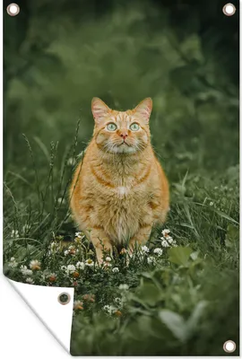 Produktbild von MuchoWow®