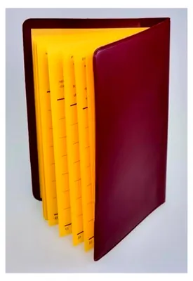 Produktbild von Schutzhülle für neuen Impfpass 200x140mm (offen) Germany - dokumentenecht - mit Buchrücken Impfausweis Impfbuch Hülle Etui Umschlaghülle (Weiß)