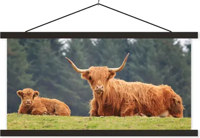 Produktbild von MuchoWow® Textilposter Schottische Hochlandrind - Gras - Wald 120x60 cm mit schwarzem Rahmen - Dekoration Schlafzimmer