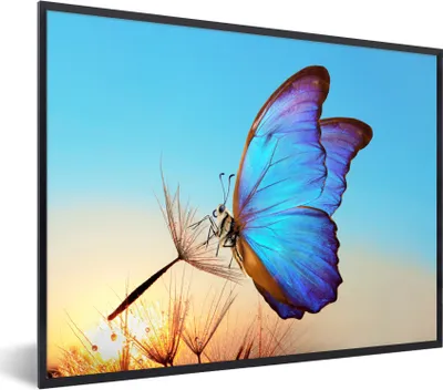 Produktbild von MuchoWow® Gerahmtes Poster Schmetterling - Löwenzahn - Blau 80x60 cm - Poster mit Schwarzem Bilderrahmen Wandposter Rahmen Foto Bilder - Schwarzem - Mit Gestell