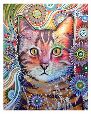Obrázok produktu pre Norimpex Diamantová maľba 7D Astonished Cat 30x40cm