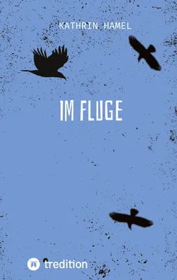 Produktbild von Im Fluge