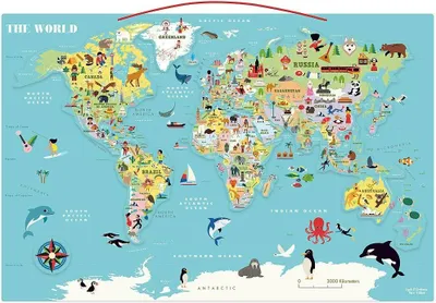Immagine prodotto di Mappa magnetica del mondo in inglese