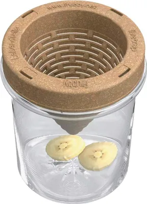 Zdjęcie produktu dla Żywa pułapka na muszki owocowe Frubby