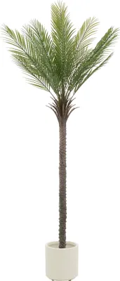 Produktbild von ML-Design Künstliche Palme 210 cm, Tropische Kunstpalme, Kunstpflanze im Topf für Indoor/Outdoor, inkl. zusätzlicher Pflanztopf