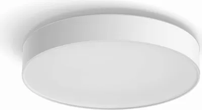 Produktbild von Philips Hue White Amb. Enrave Deckenleuchte L weiß 4500lm+ DS