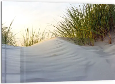 Produktbild von DEQORI Küchenrückwand Glas 60x40 cm 'Düne mit Dünengras' Spritzschutz Bad Rückwand