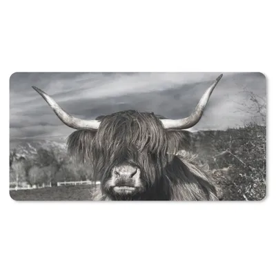 Produktbild von MuchoWow® Mauspad Mousepad Schottischer Highlander - Tiere - Hörner 60x30 cm - Mousepads - Maus Mat - Pad - Mausunterlage - Nachhaltig