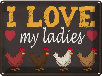 Produktbild von vianmo Blechschild 30x40 cm Hühner i love my ladies Tier Haustier
