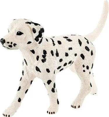 Obrázok produktu pre Schleich dalmatínsky samec