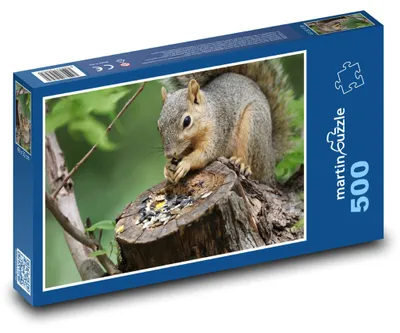 Zdjęcie produktu dla martinpuzzle - Puzzle 500 elementów - Veverka