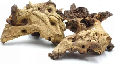 Produktbild von BioRoot Mopani-Wurzel für Terrarium und Aquarium M 20-30cm