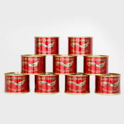 Produktbild von Aranyfacan Tomatenmark 22-24% 70 g 9er pack (Glutenfrei)