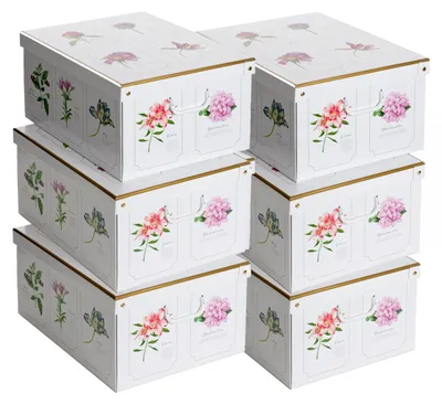 Imagen del producto de Lavatelli Set de 6 Cajas de Almacenaje con Tapa Botánica, 39 x 50 x 24 cm