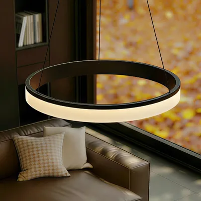 Immagine prodotto di doporro Lampada a Sospensione LED 30W Dimmerabile Rotonda ?60?cm Nero Opaco Regolabile con Telecomando per Soggiorno, Sala da Pranzo, Camera da Letto Luvina02