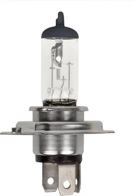 Image de Ampoule de voiture 12V 60/55W P43t H4 en boîte