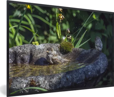 Produktbild von MuchoWow® MuchoWow® Gerahmtes Poster Vogeltränke - Spatz - Wasser 90x60 cm - Poster mit zchwarzem Bilderrahmen - Fotorahmen - Foto-Plakat
