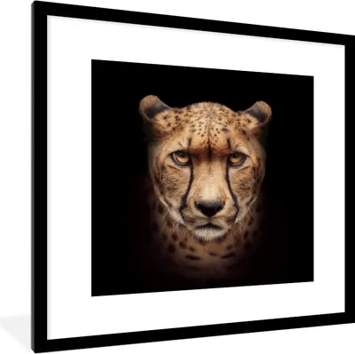 Produktbild von MuchoWow® MuchoWow® Gerahmtes Poster Gepard - Tiere - Schwarz 40x40 cm - Poster mit zchwarzem Bilderrahmen - Poster - Plakat im Rahmen