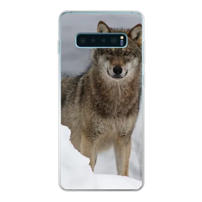 Produktbild von MuchoWow® Handyhülle Schutzhülle Hülle für Samsung Galaxy S10 Plus Wolf - Schnee - Tiere Silikon Softcase Handy Hülle - Schutzhülle