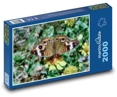 Obrázok produktu pre Puzzle 2000 Farebný motýľ na kvetine - martinpuzzle