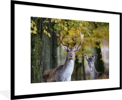 Produktbild von MuchoWow® MuchoWow® Gerahmtes Poster Hirsche - Tiere - Baum 90x60 cm - Poster mit zchwarzem Bilderrahmen - Wanddekoration - Fotos