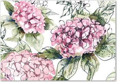 Produktbild von Tulup® Glas-Bild - 100 x 70 - Wandbild aus Glas - Wandkunst - Wandbild hinter gehärtetem Sicherheitsglas - Blumen & Pflanzen - Hortensie - Rosa