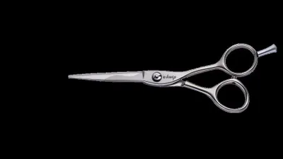 Produktbild von HS Schere e-kwip 5.0" GO