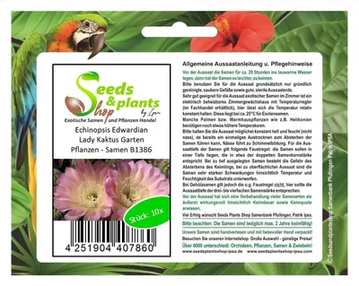 Produktbild von 10x Echinopsis Edwardian Lady Kaktus Garten Pflanzen - Samen B1386