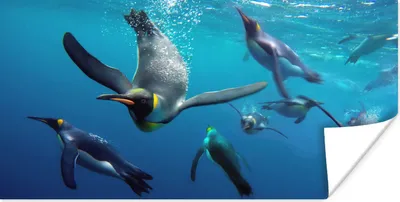 Produktbild von MuchoWow® Poster Pinguine unter Wasser 120x60 cm - Bild