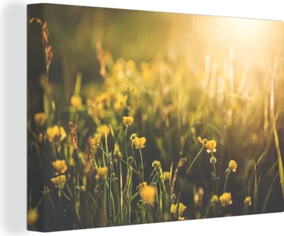 Produktbild von OneMillionCanvasses® - Leinwandbilder - 140x90 cm, Nahaufnahme von Blumen bei Sonnenaufgang, Wandbilder Kunstdruck Wanddekoration