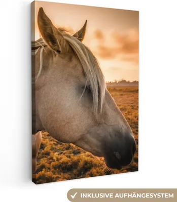 Produktbild von MuchoWow® - Leinwandbilder - Pferd - Tiere - Porträt, Wandbild, Wanddeko Bilder Wohnzimmer, 80x120 cm