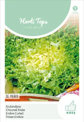 Produktbild von Frisee Endivie De Meaux | Endiviensalatsamen von Hortitops
