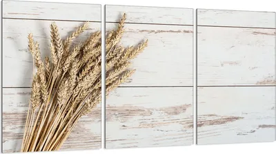 Produktbild von Glasschutzplatte für Herd 3x30x52