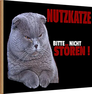 Produktbild von Holzschild Spruch 30x20cm Nutzkatze bitte nicht stören