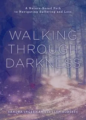 Produktbild von Walking Through Darkness