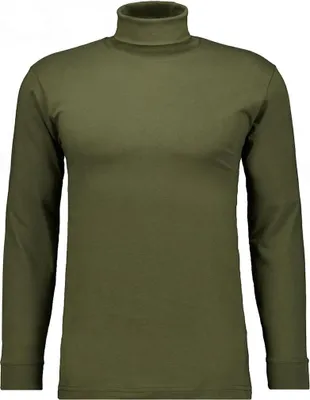 Ragman H-T-Shirt 1/1 Arm Shirt turtle neck in grün