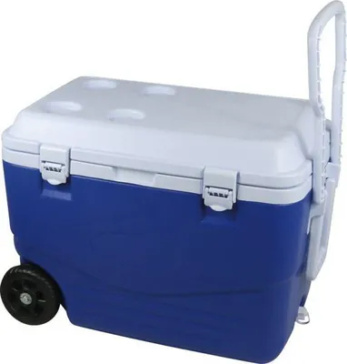 Imagen del producto de Caja refrigerante con cubierta rígida de 46 litros, dimensiones 60,5 x 35,5 x 41,5 cm - Marca Cao, ideal para camping