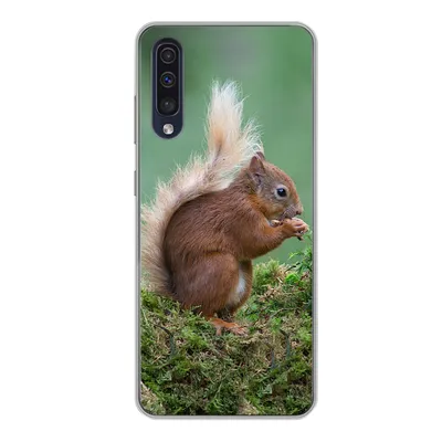 Produktbild von MuchoWow® Handyhülle Schutzhülle Hülle für Samsung Galaxy A50 Eichhörnchen - Wald - Moos Silikon Softcase Handy Hülle - Mobiltelefonhülle