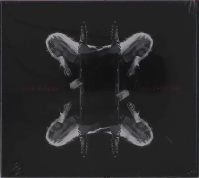 Obrázok produktu pre Nick Beggs: Words Fail Me -   - (CD / W)
