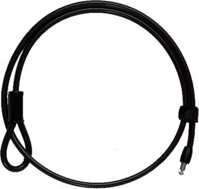 Image de Antivols Câble Auvray 110010 - CABLE ANTIVOL PLUG-IN AUVRAY