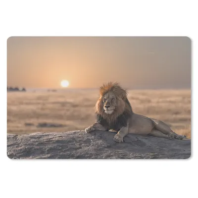 Produktbild von MuchoWow® Schreibtischunterlage Löwe - Sonne - Afrika 60x40 cm - XXL Mauspad - Großes Mauspad