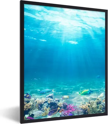 Produktbild von MuchoWow® Gerahmtes Poster Unterwasserwelt - Meerestiere - Wasser - Korallen - Blau 60x80 cm - Poster mit Schwarzem Bilderrahmen Wandposter Rahmen Foto Bilder - Premium - Wanddeko Wohnzimmer