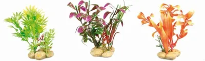 Produktbild von Aq.Pflanze mit Steinen - s für Aquarium