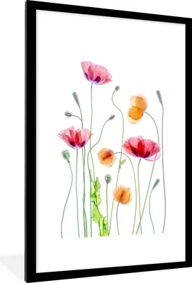 Produktbild von MuchoWow® Gerahmtes Poster Mohn - Blumen - Frühling - Weiß 60x90 cm - Poster mit Schwarzem Bilderrahmen Wandposter Rahmen Foto Bilder - Dekoration - Wandposter Wohnzimmer - Hochwertig