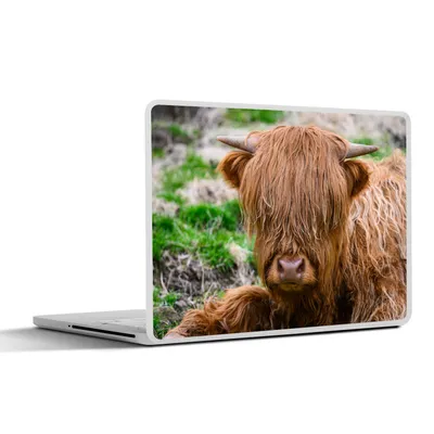 Produktbild von MuchoWow® Laptop Aufkleber Sticker Cover Schottischer Highlander - Heu - Gras 40x30 cm - Laptop Dekoration - Selbstklebend