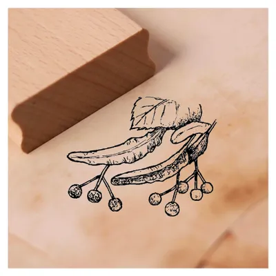 Produktbild von Lindenfrucht Motivstempel aus Holz für Scrapbooking - Abdruckgröße 48 x 38 mm
