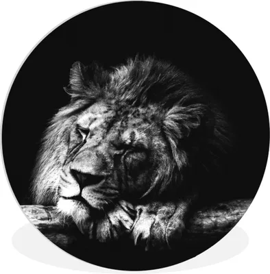 Produktbild von MuchoWow® Rundes Wandbild - Runde Bilder Löwe - Baum - Schlaf - Schwarz - Weiß Ø 30 cm Kreis Wanddekoration Kunststoff - Wandkreis - Wandschmuck - Schlafzimmer - Bilder - Der Kreis - Kunst für die Wohnung - Plastik - Kunstdruck - Wandbild